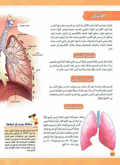 صورة مصغرة 2
