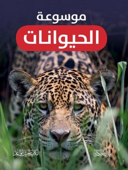 صورة مصغرة 1