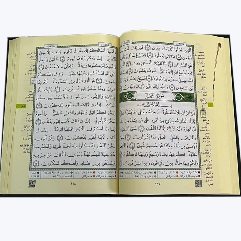 صورة مصغرة 2